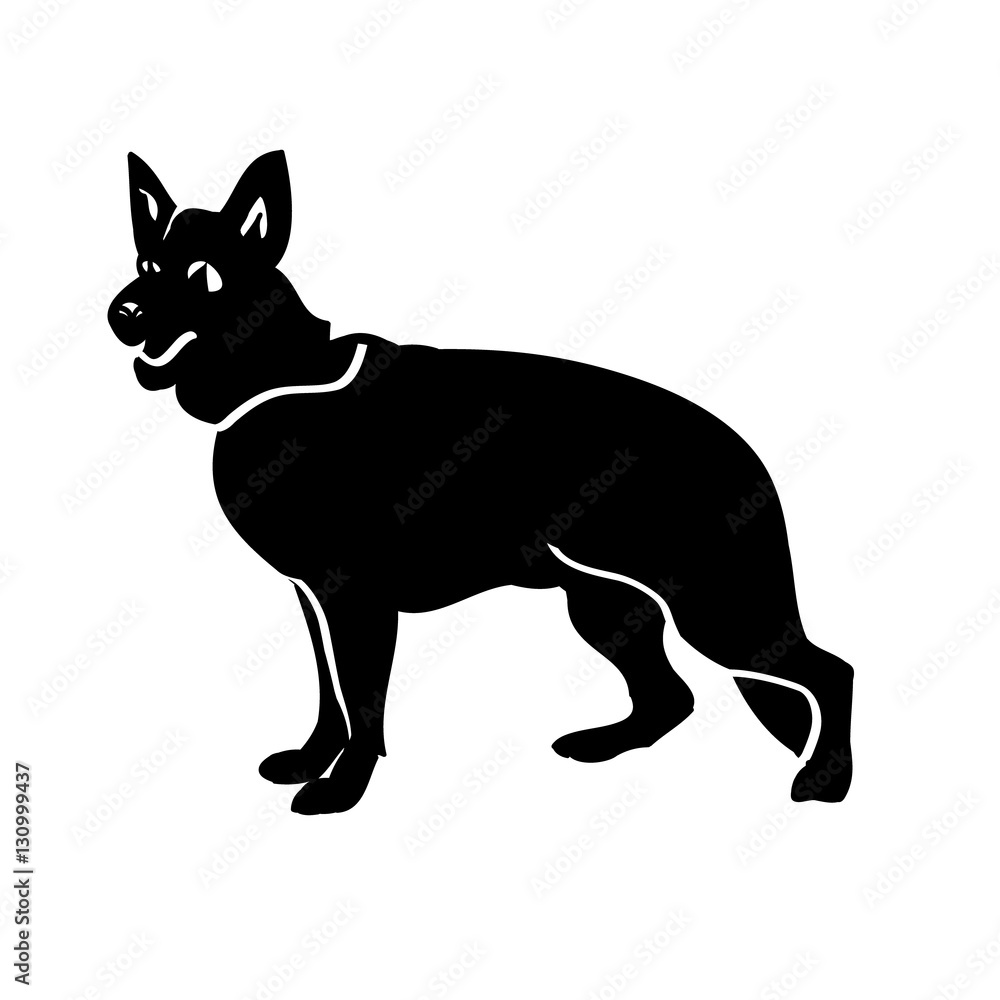Dog black Abracadabra