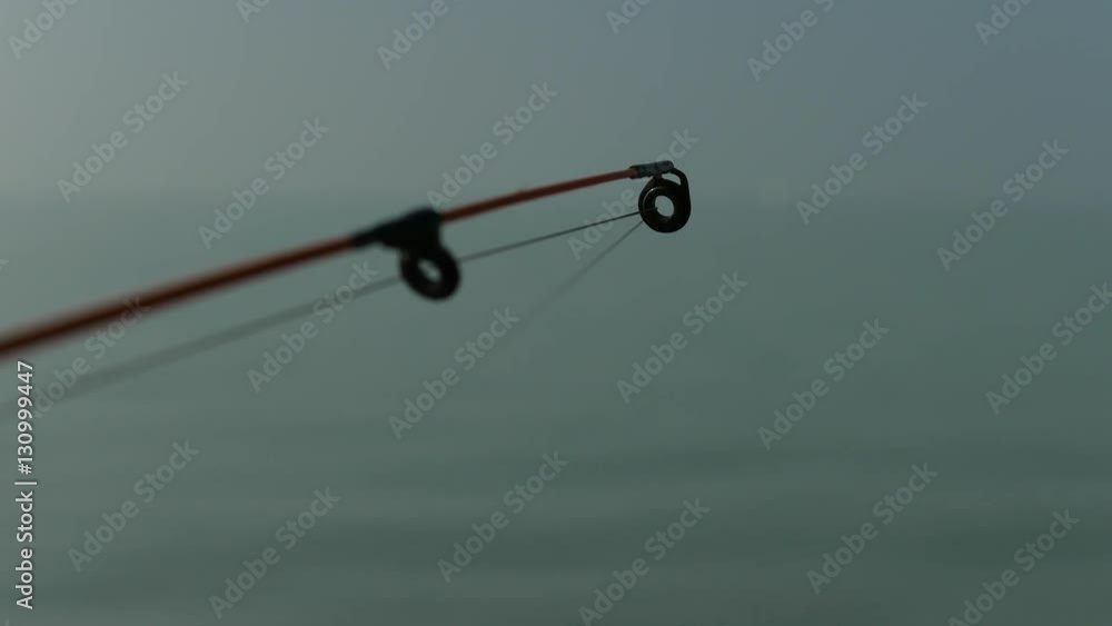 Fishing Rod End and Line Macro Fishing Rod End and Line Macro