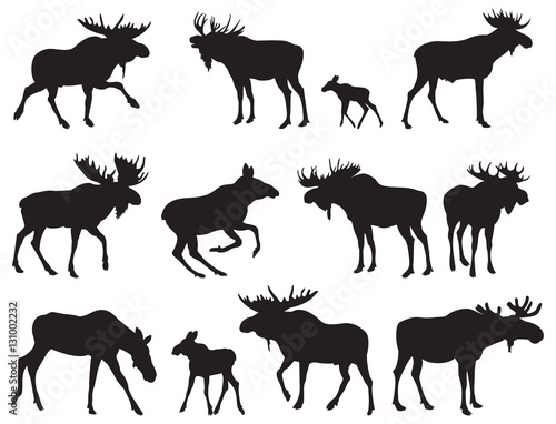 Set of Moose Silhouettes. Vector Images photo