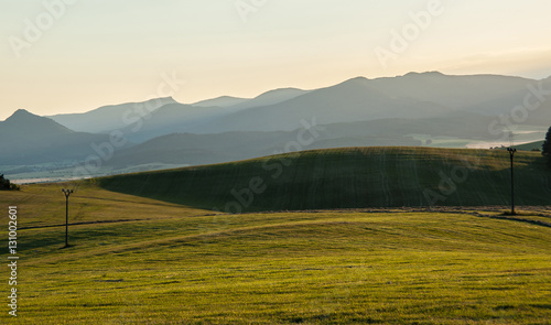 Summer landscape