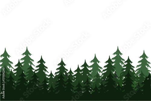 Coniferous forest.