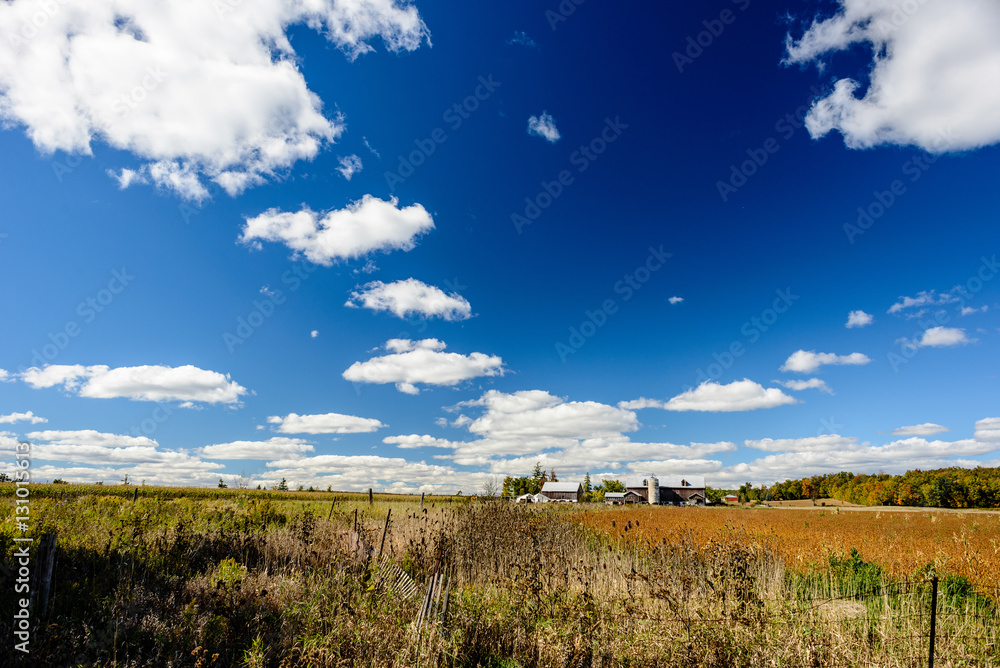 Farm on a field of grass with a trail of white clouds on a blue sky