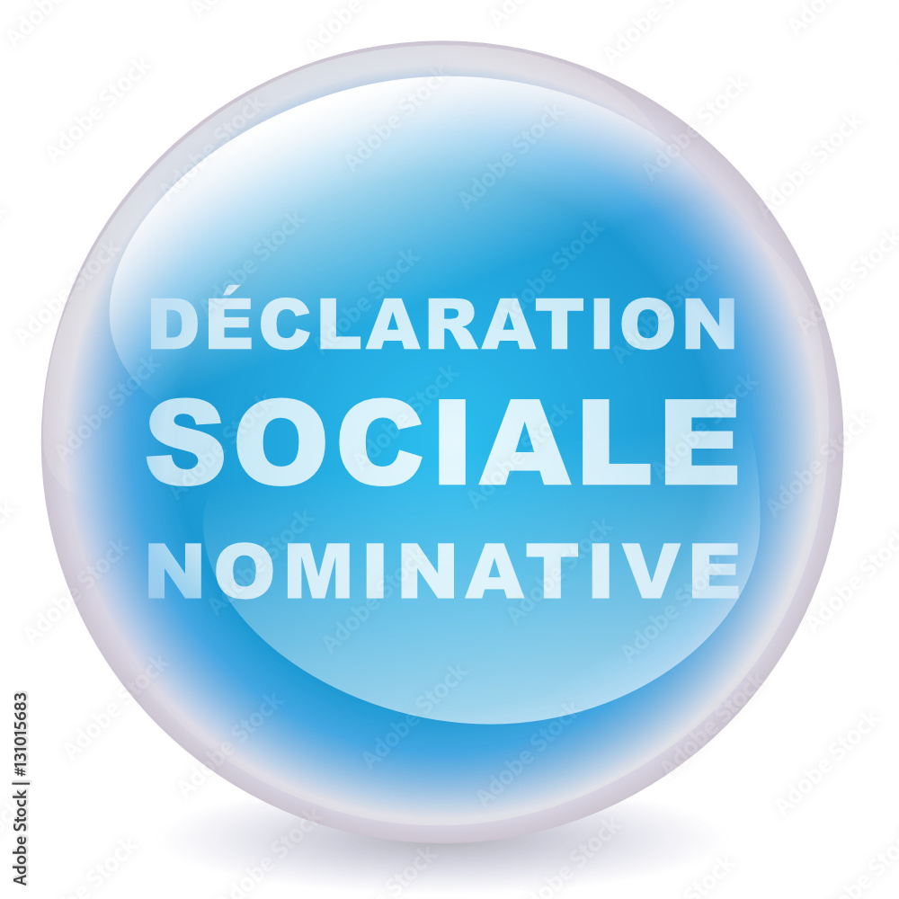 Boule déclaration sociale nominative (DSN) Boule déclaration sociale nominative (DSN)