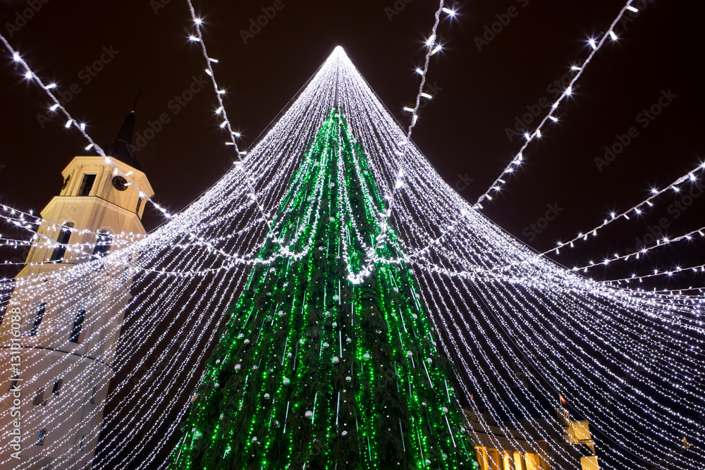 Vilnius Christmas Tree 2016