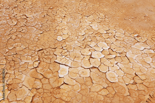 Fotografie, Obraz Dry, parched earth