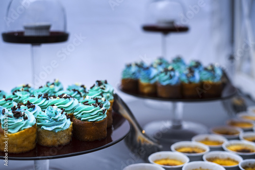 Blue Cupcake on the Plate