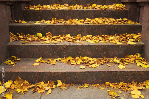 Yellow fallen leaves lie on the stone steps of the monument