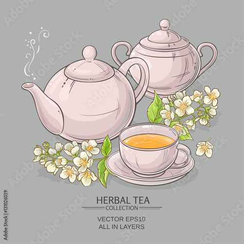 jasmine tea vector illustration