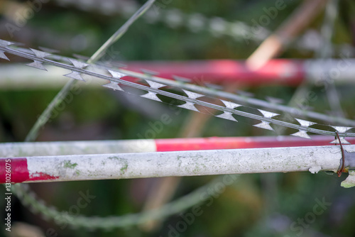 Close-up detail of razor ribbons, a form of barbed wire, and red and white striped poles. Illegal immigration and border security concept.