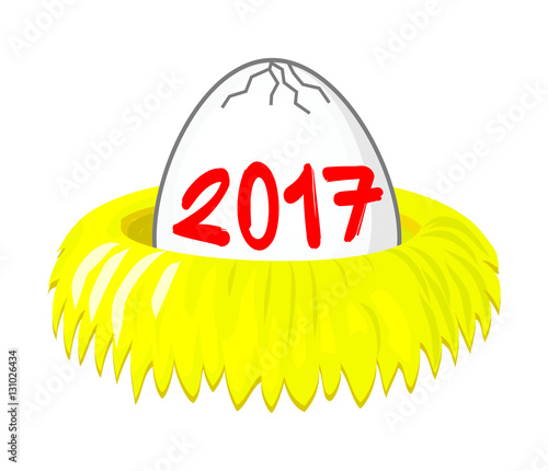 New year 2017