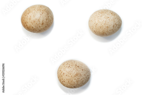 Falco subbuteo. The eggs of the Northern Hobby in front of white photo
