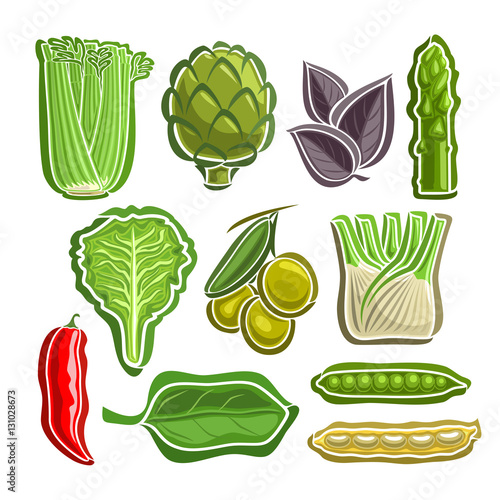 Vector Set Vegetables simple Logo: celery, artichoke, basil, asparagus, lettuce, olives, fennel, chilli, spinach, beans, peas; abstract primitive simplistic vegetables logo or icon, isolated on white.