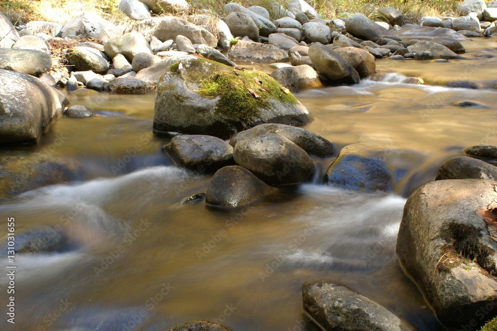 Creek in the mountains Creek in the mountains