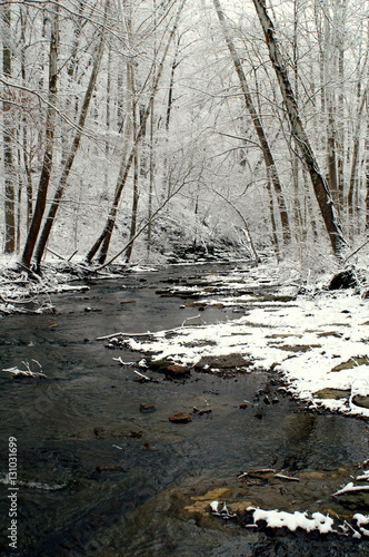 Winter Stream 