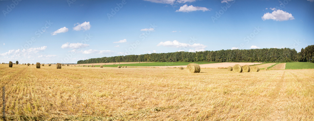 Fototapeta premium Field with bales of straw