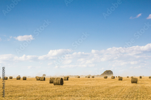 Field with bales of straw