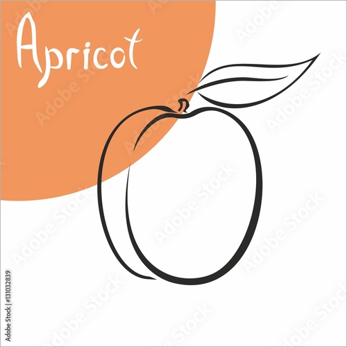 apricot armenia fruit food logo abstract