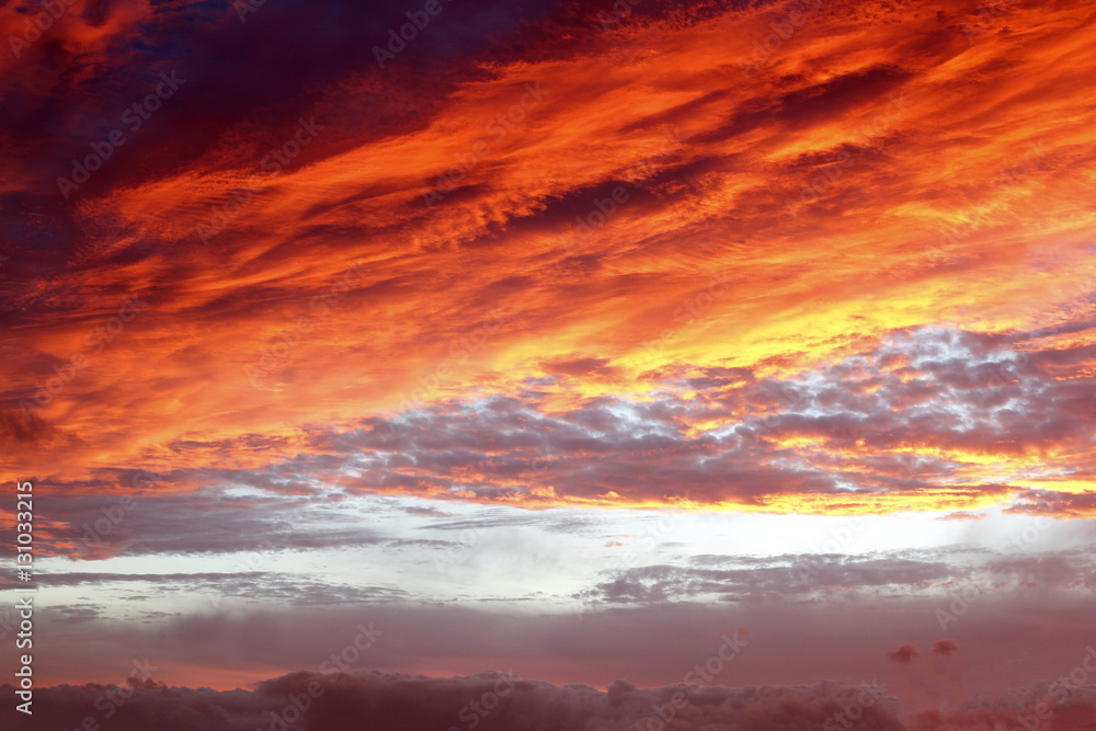 Fototapeta premium Summer sky