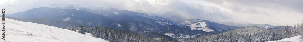 Panorama of snowed mountains