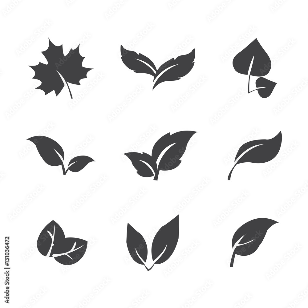 Fototapeta premium leafs icon