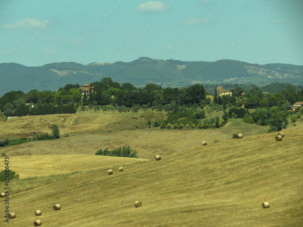 View of Siena hills