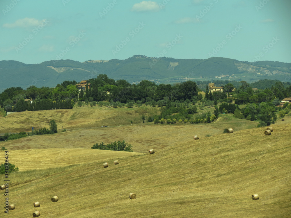 Fototapeta premium View of Siena hills