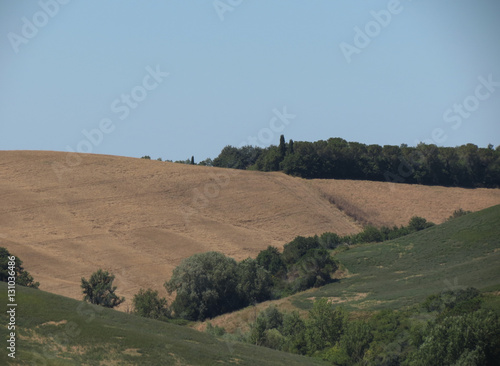 Chiantishire hills landscape photo