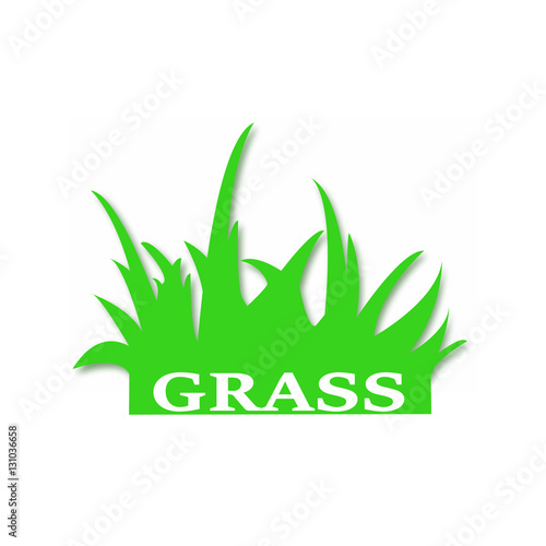 Grass sign vector
