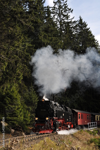 Steam Engine Train in Harz Region