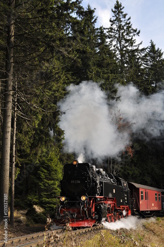 Steam engine train at Harz region