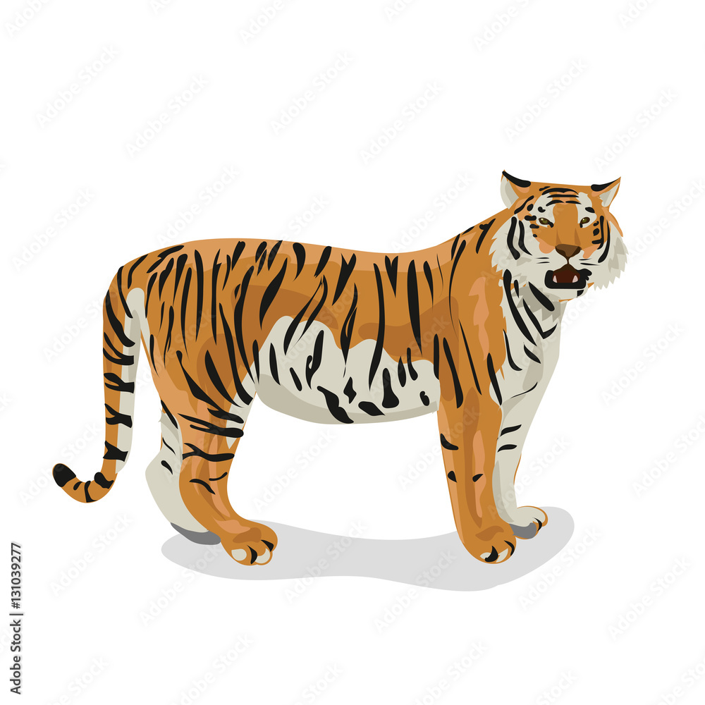 Obraz premium tiger