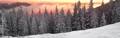 frosty sunrise in Carpathians