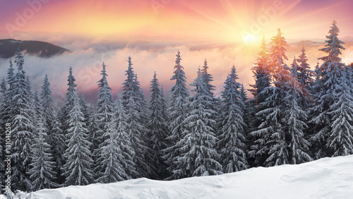 frosty sunrise in Carpathians