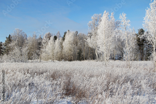 Winter landscape with frozen trees and blue sky.