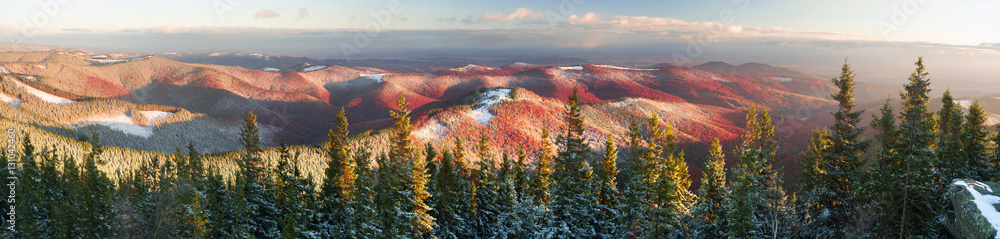 Fototapeta premium Gold and purple November