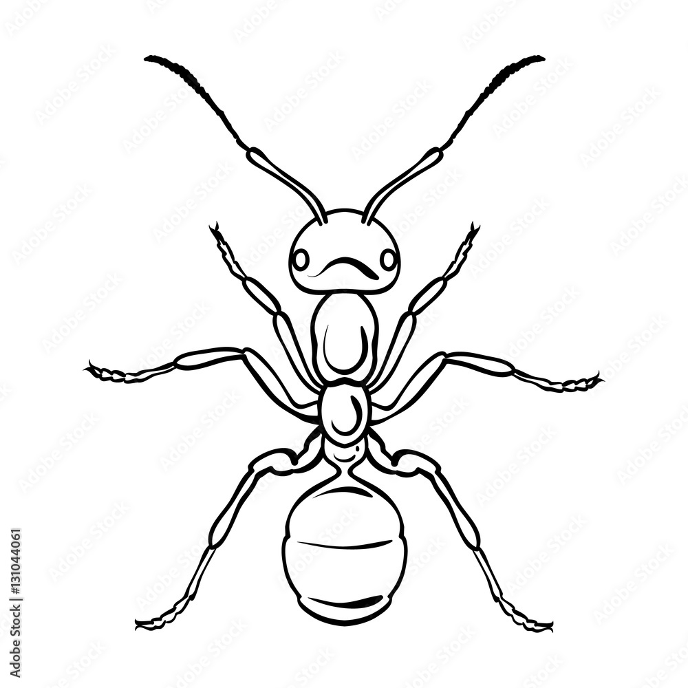 Ant icon in outline style isolated on white background. Insects symbol ...