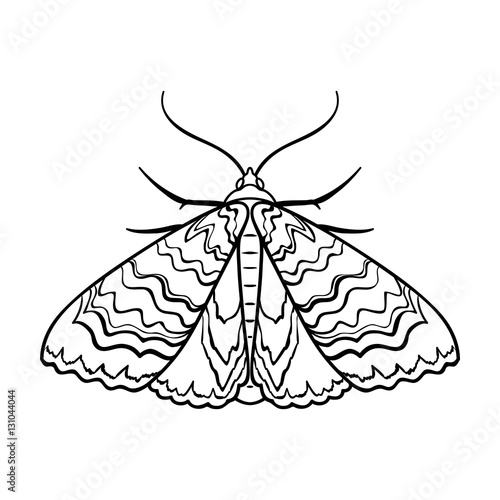 Moth icon in outline style isolated on white background. Insects symbol stock vector illustration.