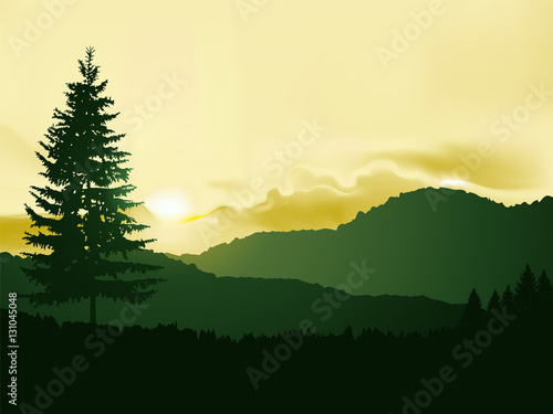  North american landscape. Silhouette of coniferous trees on the background of mountains and colorful sky. Sunset. Yellow ans green tones. © yik2007