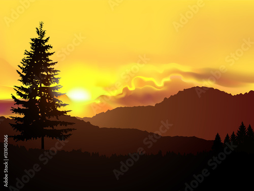 North american landscape. Silhouette of coniferous trees on the background of mountains and golden sky. Sunset.