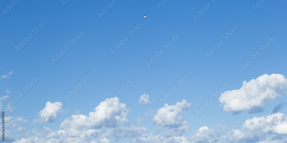 blue sky background with white little clouds blue sky background with white little clouds
