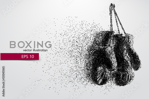 Boxing gloves from particles.