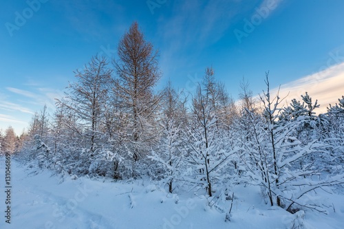 Fantastic morning winter landscape
