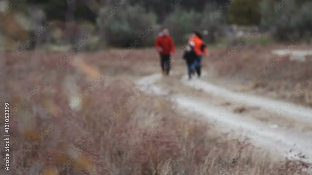 Young family on vacation. Walk through the woods. Young family on vacation. Walk through the woods.