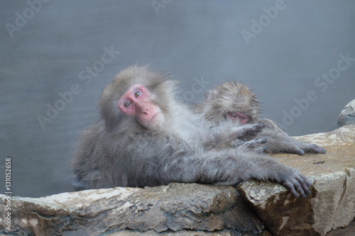 　温泉に入る猿　長野県　地獄谷 © sido