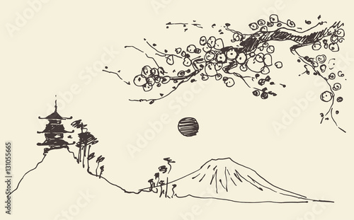 Sketch Fuji mountain pagoda blossoms Japan Vector