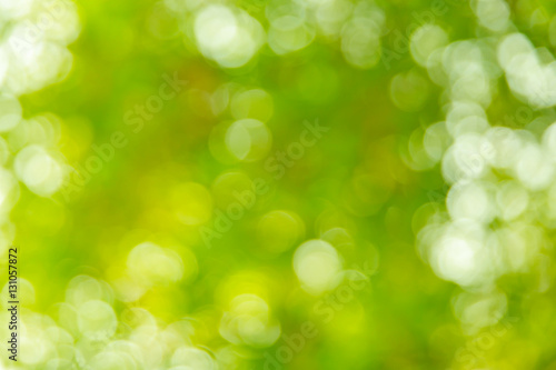 Green blurred background.
