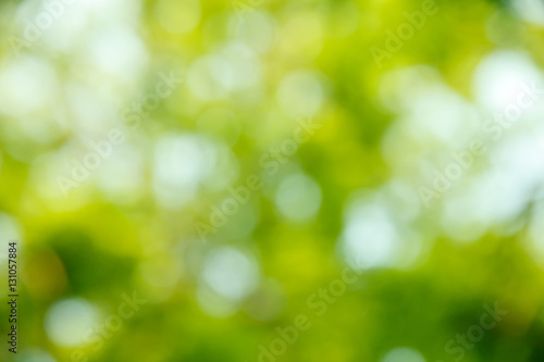 Green blurred background.