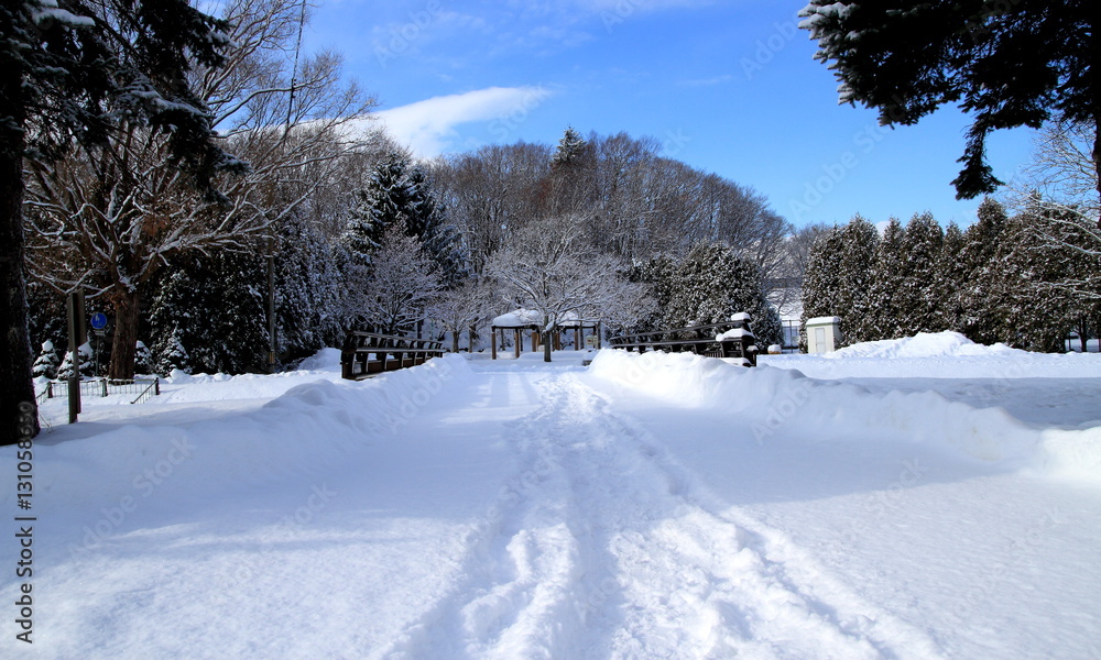 Fototapeta premium New snow and a small river and the promenade
