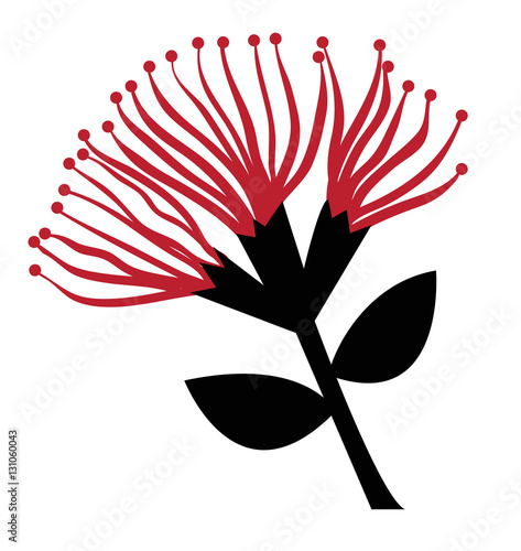 Pohutukawa Flower
