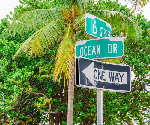 Ocean Drive street sign and a palm tree